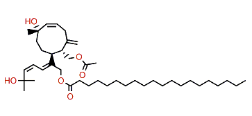 Azamilide D